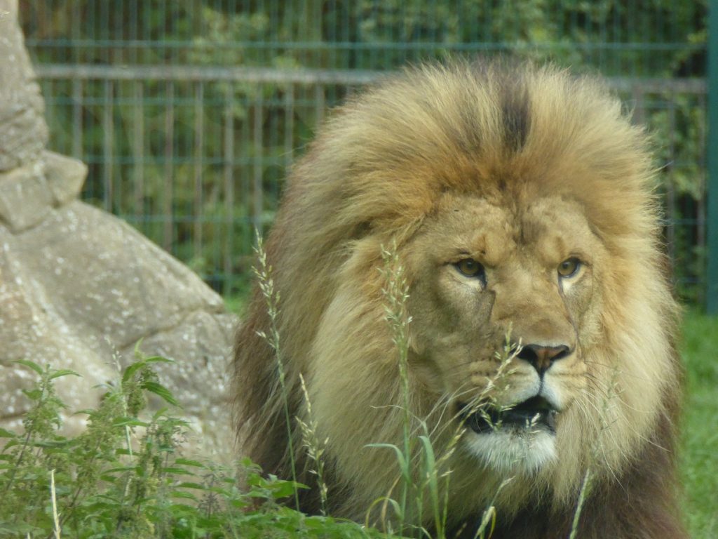 Zoo di Blackpool