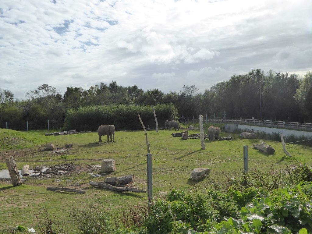 Zoo di Blackpool