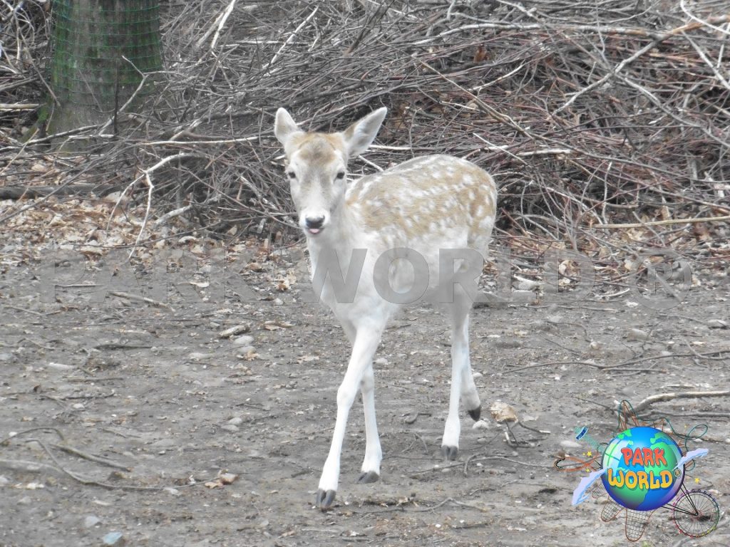 Parco Faunistico La Torbiera