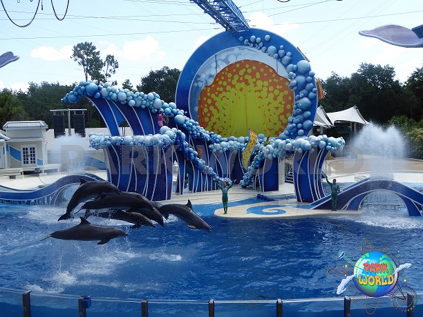 Lo spettacolo dei delfini al parco SeaWorld Orlando 