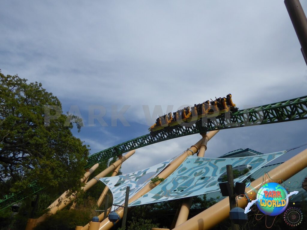 Cheetah Hunt al Busch Gardens Tampa