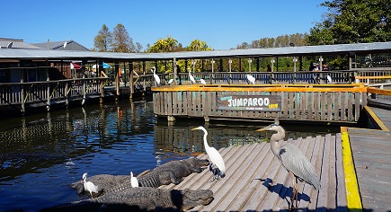 Gli animali di Gatorland