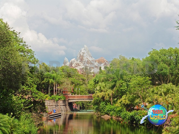 Expedition Everest di Animal Kingdom