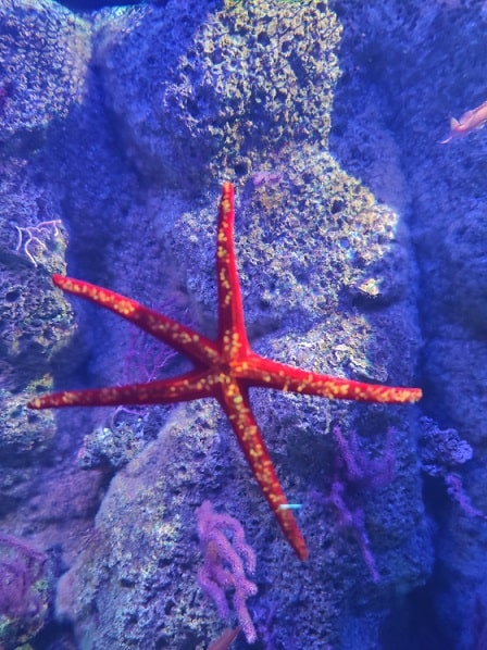 Acquario di Genova